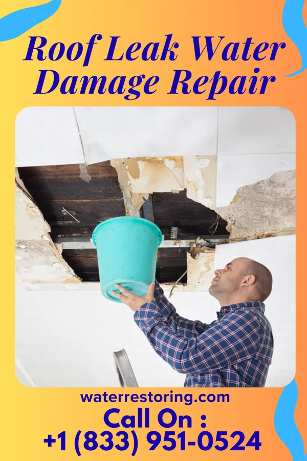 Roof Leak Water Damage Repair in Casper, WY